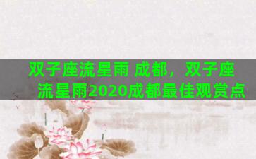 双子座流星雨 成都，双子座流星雨2020成都最佳观赏点